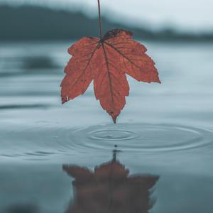 午夜福利午夜福利
