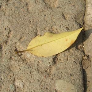 午夜福利午夜福利
